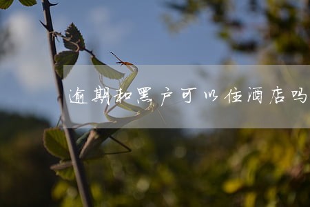 逾期和黑户可以住酒店吗