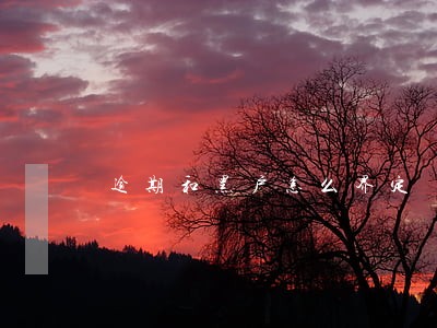 逾期和黑户怎么界定 逾期和黑户怎么界定