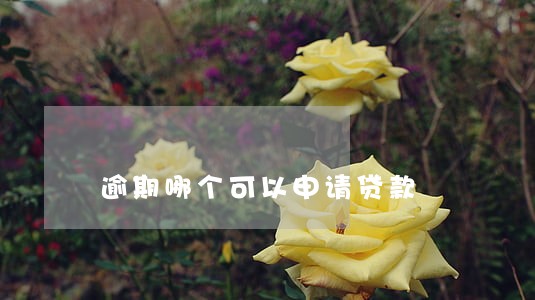 逾期哪个可以申请贷款 逾期哪个可以申请贷款