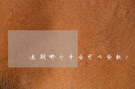 逾期哪个平台可以贷款1000 逾期哪个平台可以贷款1000