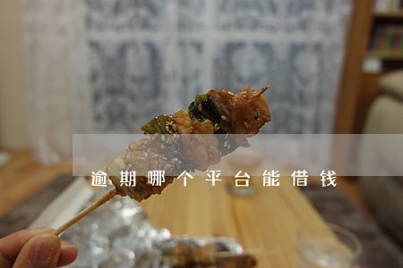 逾期哪个平台能借钱