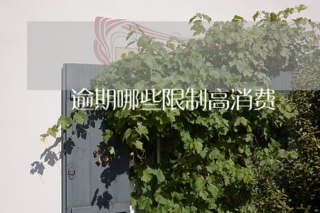 逾期哪些限制高消费 逾期哪些限制高消费