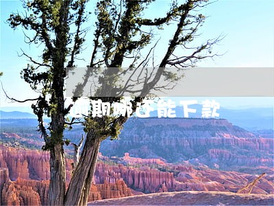 逾期哪还能下款 逾期哪还能下款