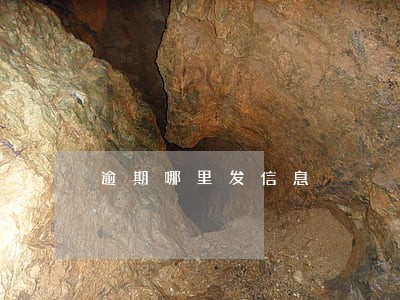 逾期哪里发信息 逾期哪里发信息