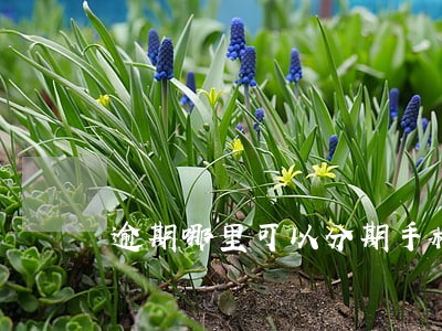 逾期哪里可以分期手机 逾期哪里可以分期手机