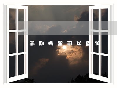 逾期哪里可以查询 逾期哪里可以查询