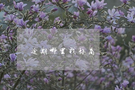 逾期哪里找协商 逾期哪里找协商