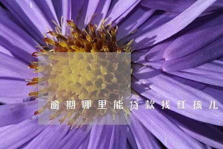 逾期哪里能贷款找红孩儿金融 逾期哪里能贷款找红孩儿金融