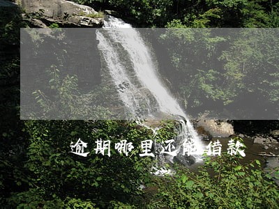 逾期哪里还能借款 逾期哪里还能借款