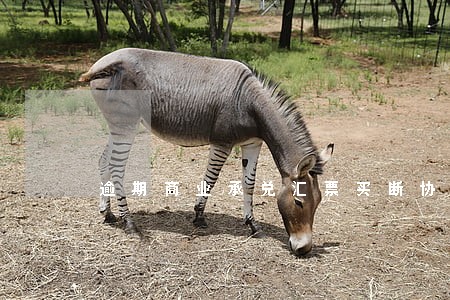 逾期商业承兑汇票买断协议 逾期商业承兑汇票买断协议