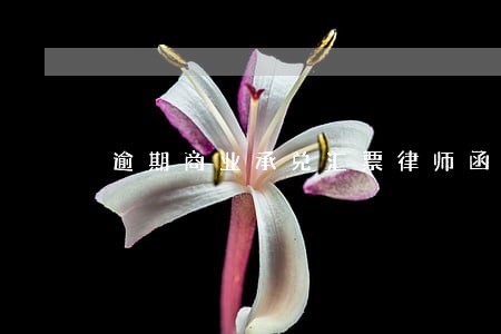 逾期商业承兑汇票律师函范本 逾期商业承兑汇票律师函范本