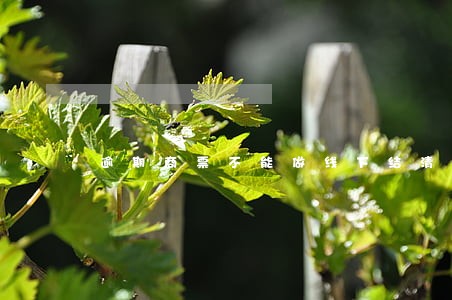 逾期商票不能做线下结清 逾期商票不能做线下结清