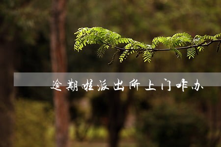 逾期啦派出所上门咋办 逾期啦派出所上门咋办