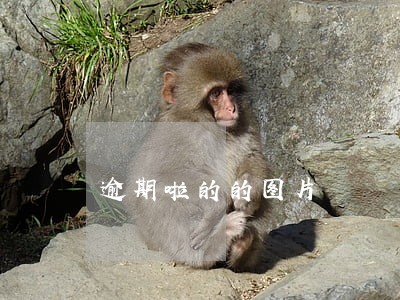 逾期啦的的图片 逾期啦的的图片