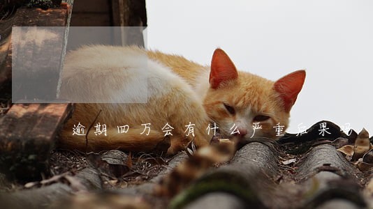 逾期四万会有什么严重后果吗 逾期四万会有什么严重后果吗