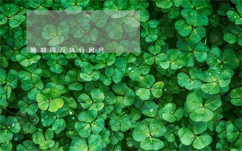 逾期四万执行房产 逾期四万执行房产