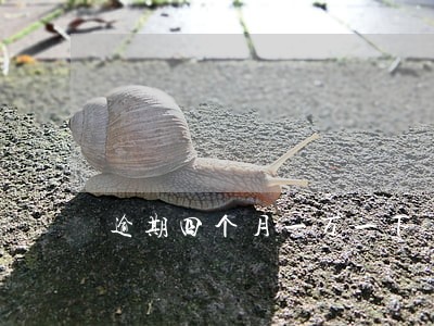 逾期四个月一万一下 逾期四个月一万一下