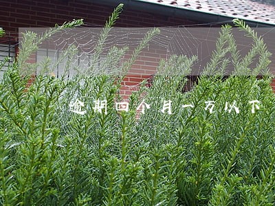 逾期四个月一万以下 逾期四个月一万以下