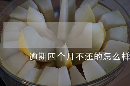 逾期四个月不还的怎么样了 逾期四个月不还的怎么样了