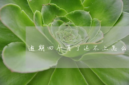 逾期四个月了还不上怎么办 逾期四个月了还不上怎么办