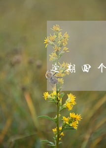 逾期四个月会影响贷款吗