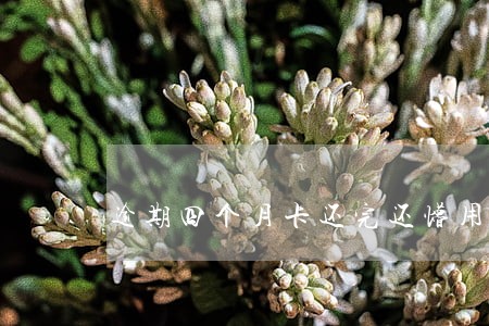 逾期四个月卡还完还懵用吗 逾期四个月卡还完还懵用吗