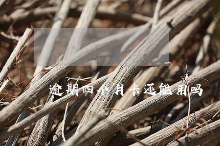 逾期四个月卡还能用吗 逾期四个月卡还能用吗
