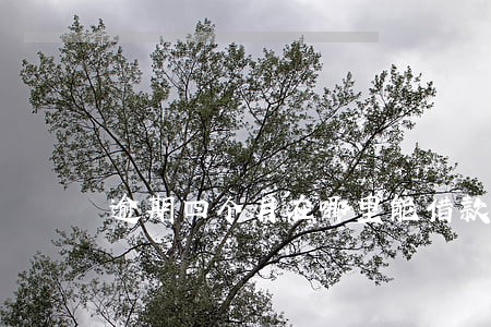 逾期四个月在哪里能借款 逾期四个月在哪里能借款