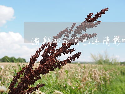 逾期四个月已还清影响房贷吗 逾期四个月已还清影响房贷吗