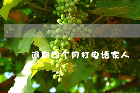 逾期四个月打电话家人