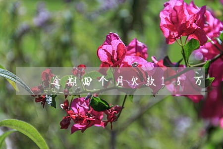 逾期四个月欠款15万 逾期四个月欠款15万