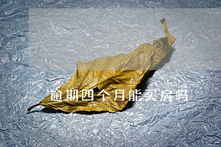 逾期四个月能买房吗 逾期四个月能买房吗