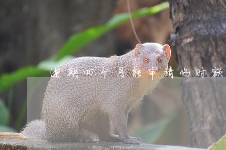 逾期四个月能申请临时额度吗 逾期四个月能申请临时额度吗