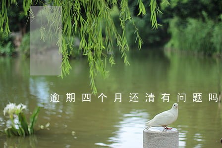 逾期四个月还清有问题吗