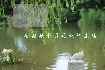 逾期四个月还能解冻吗 逾期四个月还能解冻吗