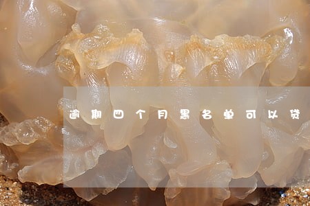 逾期四个月黑名单可以贷款 逾期四个月黑名单可以贷款