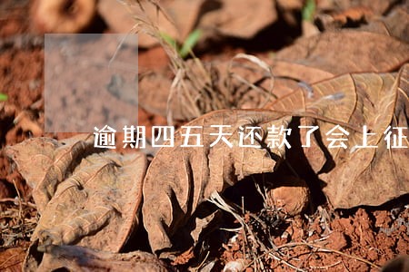 逾期四五天还款了会上征信吗 逾期四五天还款了会上征信吗