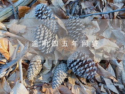 逾期四五年网贷 逾期四五年网贷