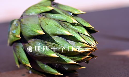 逾期四十个口子 逾期四十个口子