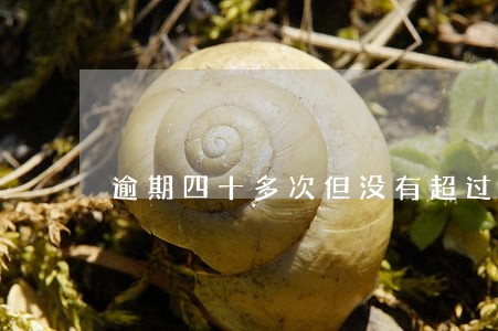 逾期四十多次但没有超过90天 逾期四十多次但没有超过90天