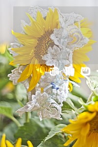 逾期四十天有什么后果