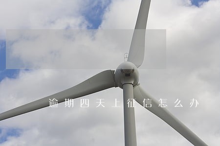 逾期四天上征信怎么办 逾期四天上征信怎么办