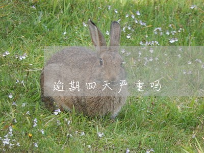 逾期四天严重吗 逾期四天严重吗