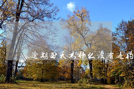 逾期四天为什么没有违约金 逾期四天为什么没有违约金