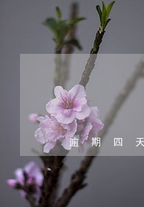 逾期四天会有什么后果