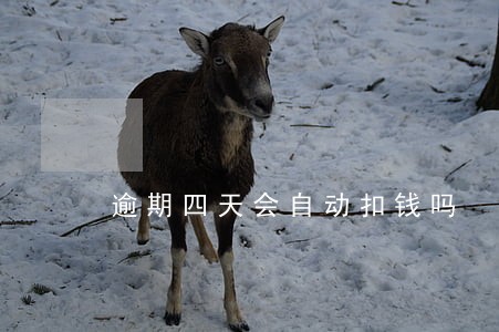 逾期四天会自动扣钱吗 逾期四天会自动扣钱吗