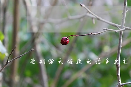 逾期四天催款电话多久打给家里 逾期四天催款电话多久打给家里