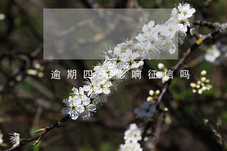 逾期四天影响征信吗 逾期四天影响征信吗