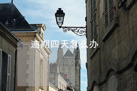 逾期四天怎么办 逾期四天怎么办