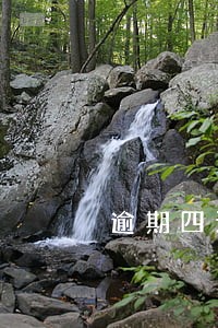 逾期四天怎么能撤销逾期 逾期四天怎么能撤销逾期
